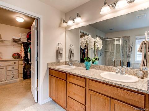 2230 Broadleaf Loop, Castle Rock, CO 80109 photo 27
