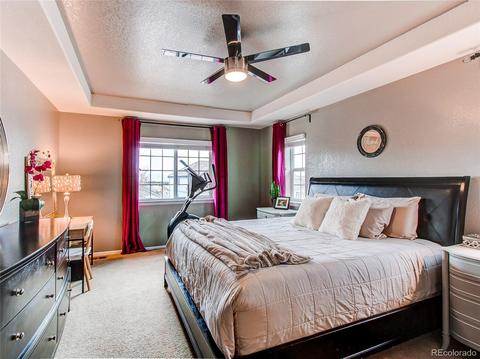 2230 Broadleaf Loop, Castle Rock, CO 80109 photo 24