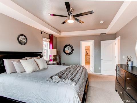 2230 Broadleaf Loop, Castle Rock, CO 80109 photo 25