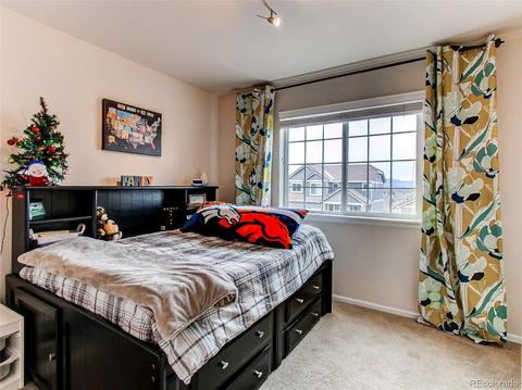 2230 Broadleaf Loop, Castle Rock, CO 80109 photo 18