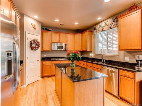2230 Broadleaf Loop, Castle Rock, CO 80109 photo 8