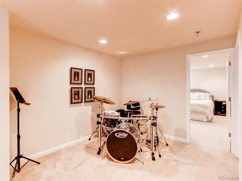 2230 Broadleaf Loop, Castle Rock, CO 80109 photo 30