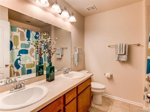 2230 Broadleaf Loop, Castle Rock, CO 80109 photo 19