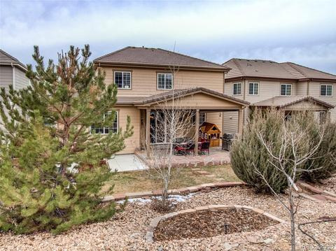 2230 Broadleaf Loop, Castle Rock, CO 80109 photo 39