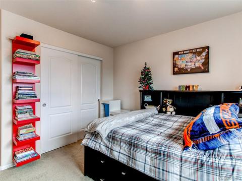 2230 Broadleaf Loop, Castle Rock, CO 80109 photo 17