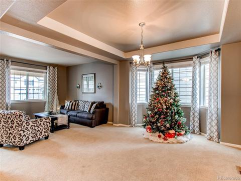 2230 Broadleaf Loop, Castle Rock, CO 80109 photo 5