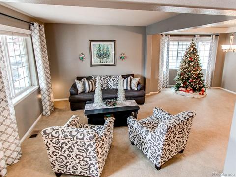 2230 Broadleaf Loop, Castle Rock, CO 80109 photo 4