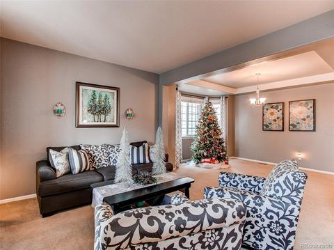 2230 Broadleaf Loop, Castle Rock, CO 80109 photo 3