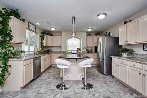 21340 E 48th Pl, Denver, CO 80249 photo 9