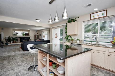 21340 E 48th Pl, Denver, CO 80249 photo 11