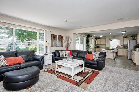 21340 E 48th Pl, Denver, CO 80249 photo 16