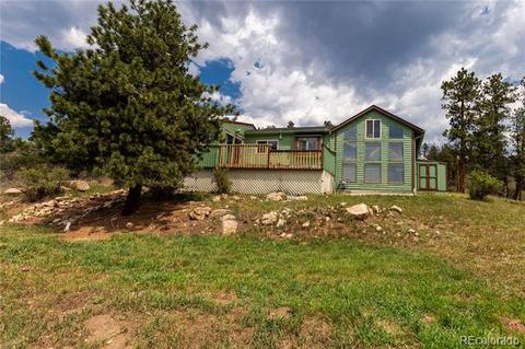 1105 County Road 72, Bailey, CO 80421 photo 28