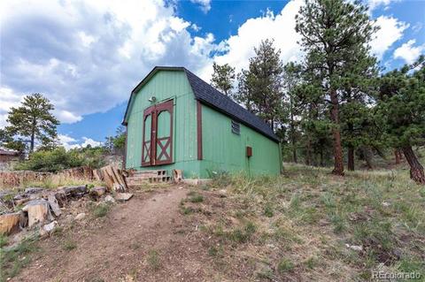 1105 County Road 72, Bailey, CO 80421 photo 20