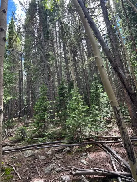 lot15 Long Rd, Idaho Springs, CO 80452