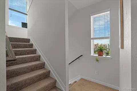 Entry Way - 2421 Java Dr, Castle Rock, CO 80109 photo 5 of 5