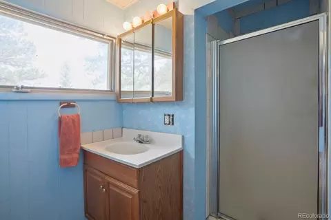 1006 County Road 72, Bailey, CO 80421 photo 20