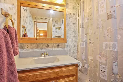 1006 County Road 72, Bailey, CO 80421 photo 16