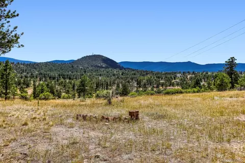 1006 County Road 72, Bailey, CO 80421 photo 33