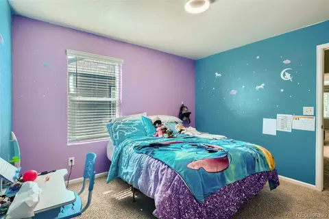 158 Hidden Lake Dr, Severance, CO 80550 photo 21