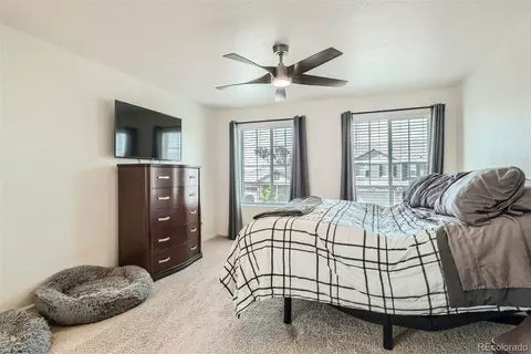 158 Hidden Lake Dr, Severance, CO 80550 photo 14