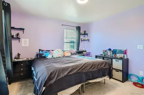 158 Hidden Lake Dr, Severance, CO 80550 photo 19