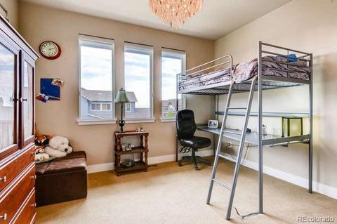 8502 E 55th Ave, Denver, CO 80238 photo 18