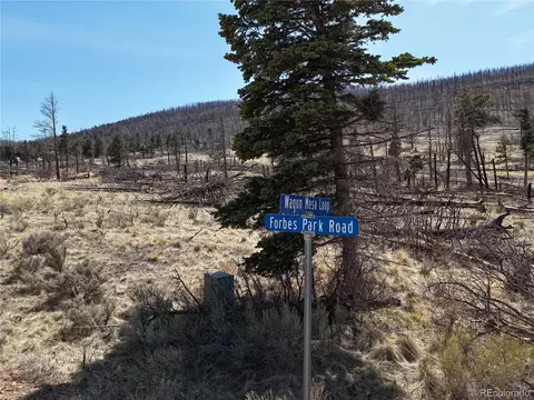 lot506 Forbes Park Rd, Fort Garland, CO 81133