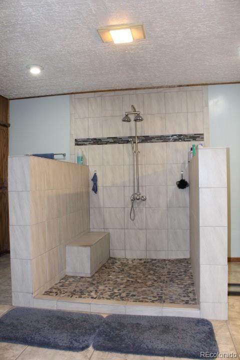 48 E Zabrisky Ln, Howard, CO 81233 photo 22