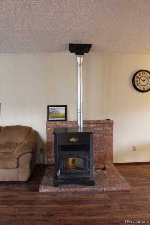 48 E Zabrisky Ln, Howard, CO 81233 photo 9