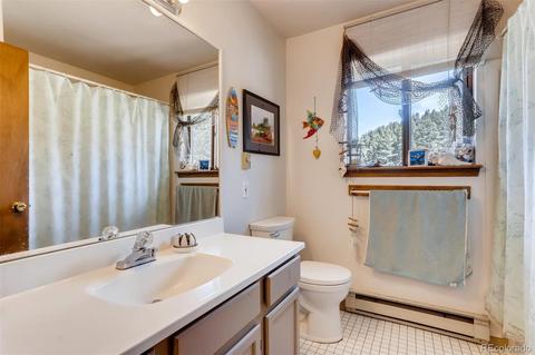 943 Wisp Creek Dr, Bailey, CO 80421 photo 12