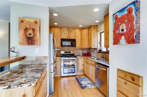 943 Wisp Creek Dr, Bailey, CO 80421 photo 8