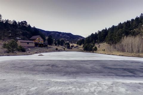 943 Wisp Creek Dr, Bailey, CO 80421 photo 22