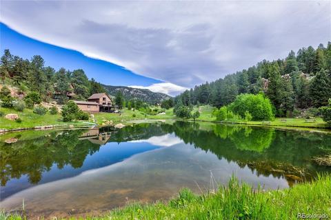943 Wisp Creek Dr, Bailey, CO 80421 photo 1