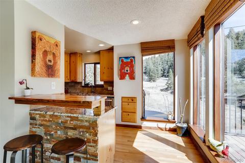 943 Wisp Creek Dr, Bailey, CO 80421 photo 7