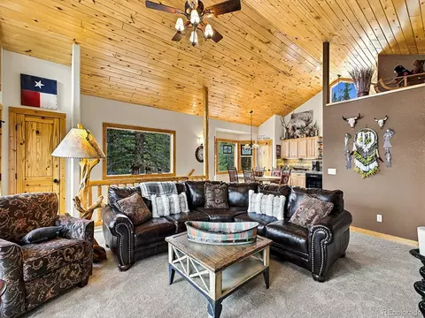 Living - 150 Haida Rd, Como, CO 80456 photo 4 of 8