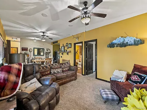 Living - 150 Haida Rd, Como, CO 80456 photo 8 of 8