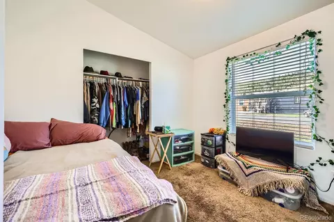 105 Red Cloud Peak Rd, Dillon, CO 80435 photo 19