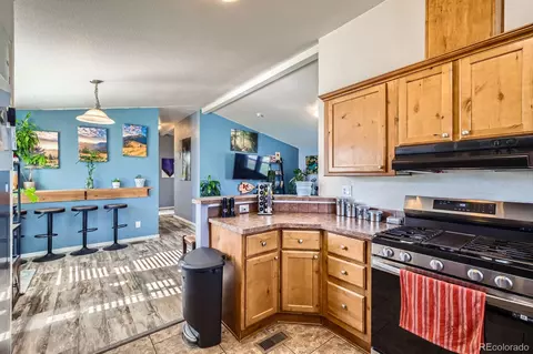105 Red Cloud Peak Rd, Dillon, CO 80435 photo 9
