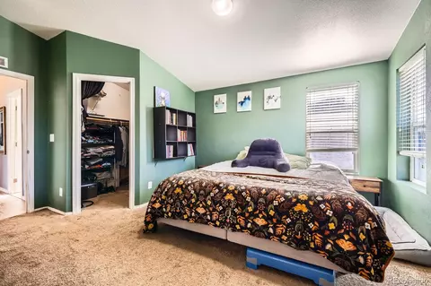 105 Red Cloud Peak Rd, Dillon, CO 80435 photo 14