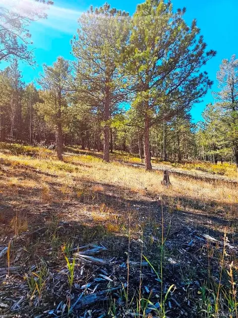 1504 County Road 43, Bailey, CO 80421 photo 7