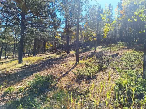 1504 County Road 43, Bailey, CO 80421 photo 3