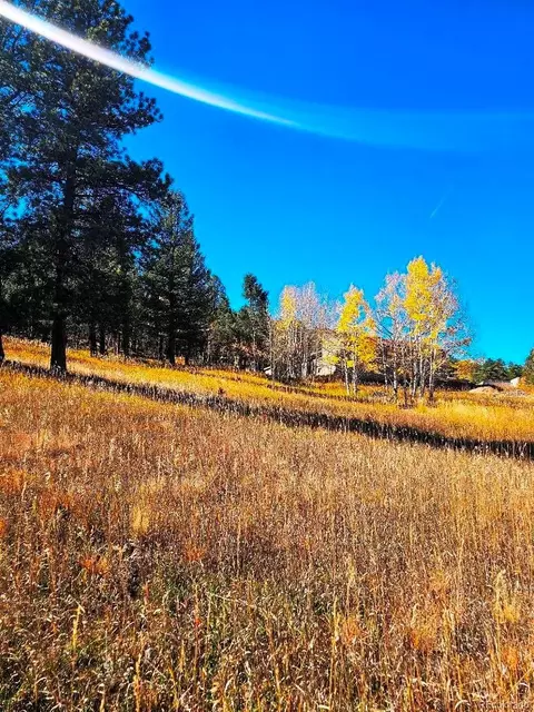 1504 County Road 43, Bailey, CO 80421 photo 6