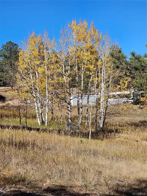 1504 County Road 43, Bailey, CO 80421 photo 11