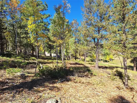 1504 County Road 43, Bailey, CO 80421 photo 2