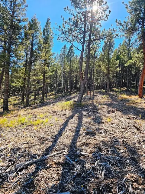 1504 County Road 43, Bailey, CO 80421 photo 10