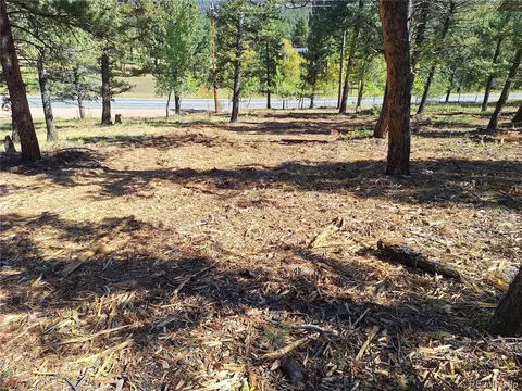1504 County Road 43, Bailey, CO 80421 photo 4