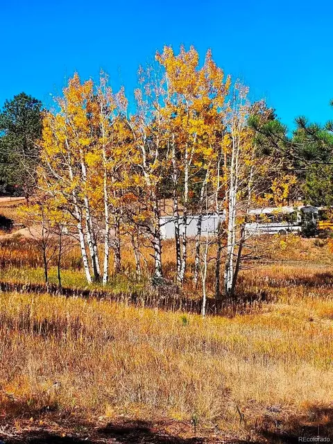 1504 County Road 43, Bailey, CO 80421 photo 5