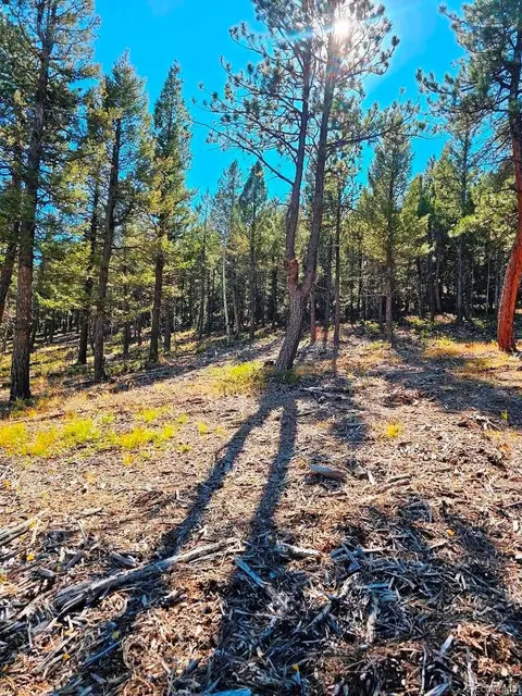 1504 County Road 43, Bailey, CO 80421 photo 9
