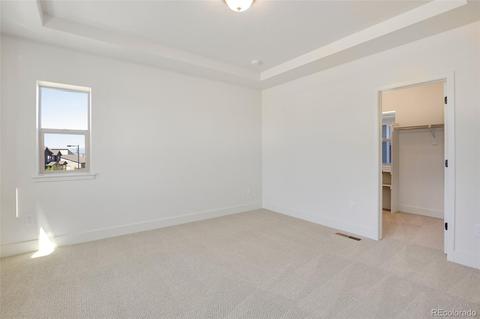 5905 Hanover, Denver, CO 80238 photo 16