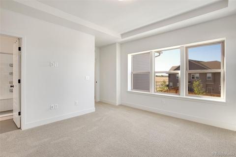 5905 Hanover, Denver, CO 80238 photo 17